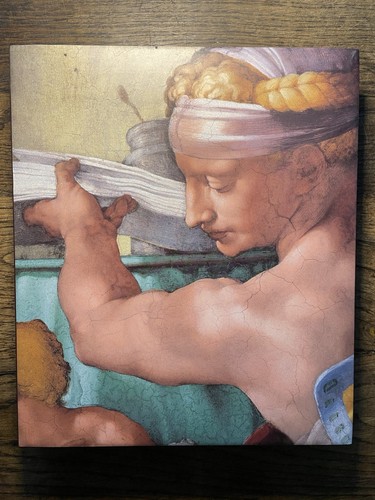 Michelangelo pittore luchinat - michelangelo,