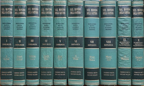 Enciclopedia nel mondo - enciclopedia,